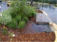 Bioretention Cell